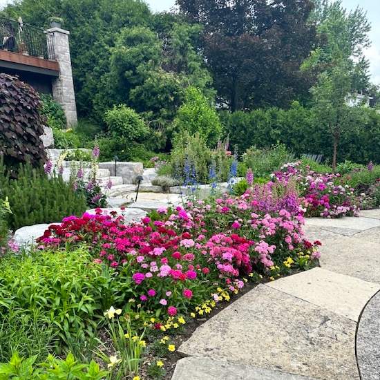 garden bed with the best perennials for southern Ontario