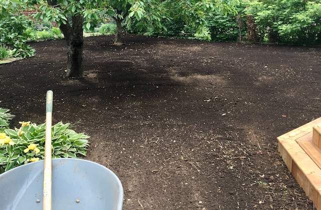 How To Lay Sod Before Picture