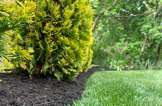 Mulch Delivery And Installation Services