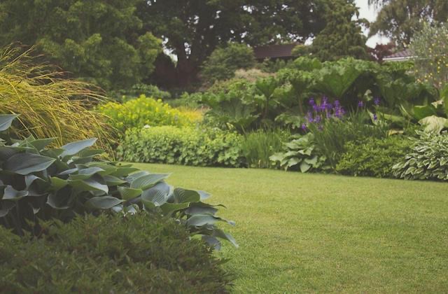 Top Dressing A Lawn In Burlington