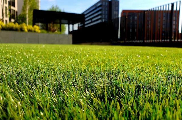 Lawn Dethatching Burlington